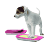 PawCare für saubere Pfoten