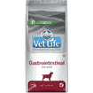 Canine Gastrointestinal