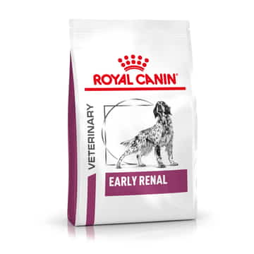 Early Renal Dog