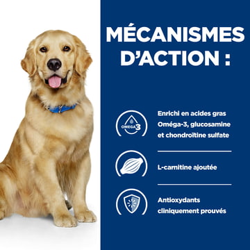 Canine j/d Mobility - en boîte