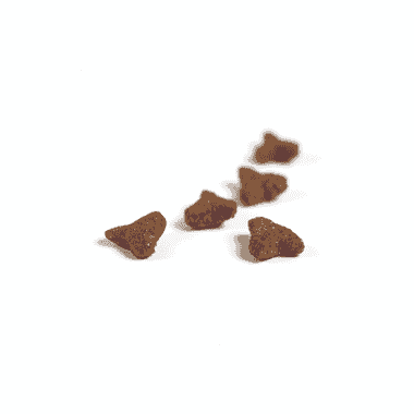 Soupe Josera 16 x 70 g pour chat