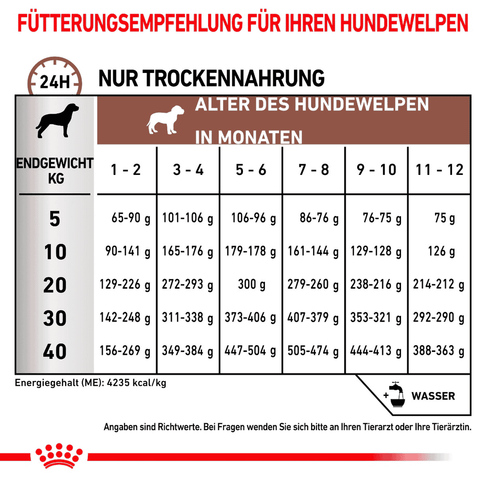 Gastrointestinal Puppy