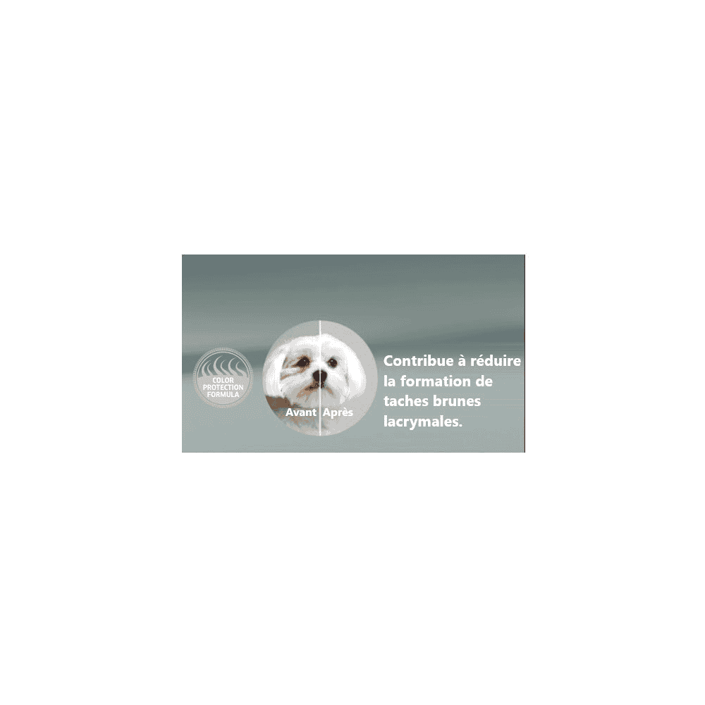 Canine Adult Mini Bar, Fenouil & Spiruline