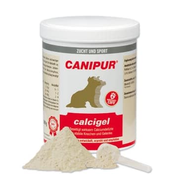 calcigel