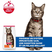 Feline Adult Chicken
