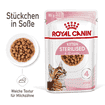 Kitten Sterilised Gravy