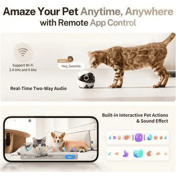 ROLA Mini Companion Robot