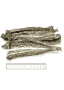 Dog Blue Whiting
