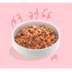 Canard &amp; Poulet Junior - Boîte