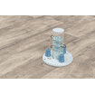 Dog Activity Gambling Tower