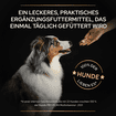 Dog Multivitamins +
