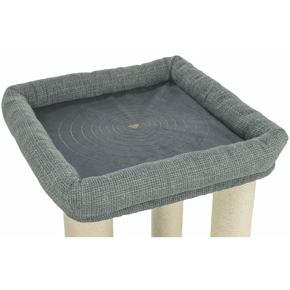 Viviana cat scratcher