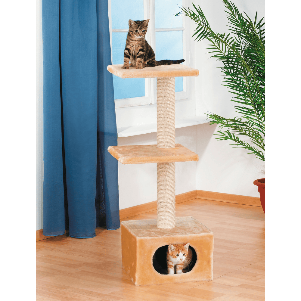 Quasimo cat scratcher