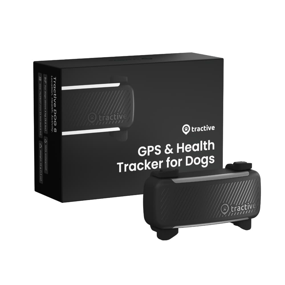 DOG 6 Tracker