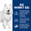 Canine k/d + j/d Kidney + Mobility
