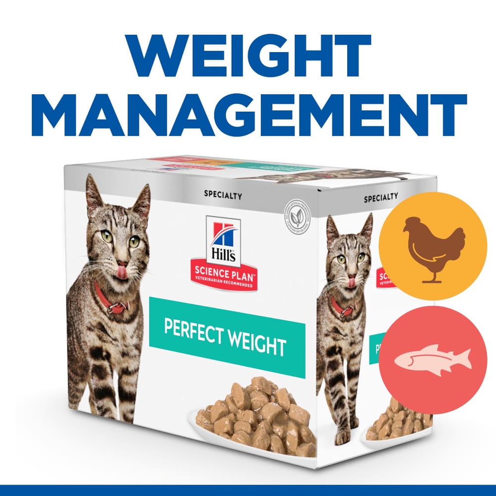 Feline Perfect Weight Delicious Selection - Fresh pouches