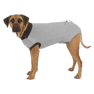 OP-Body für Hunde