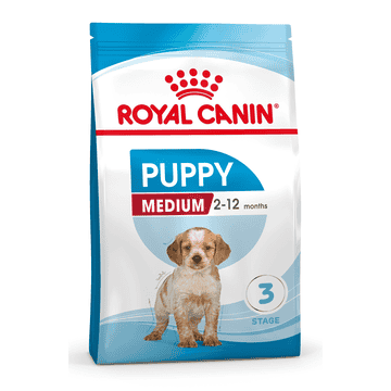 Medium Puppy