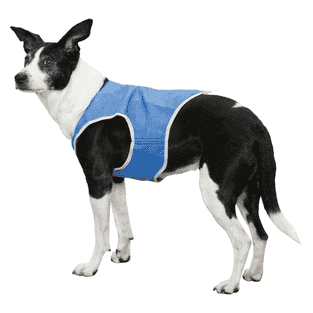 Gilet de refroidissement PVA