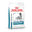 Hypoallergenic Dog