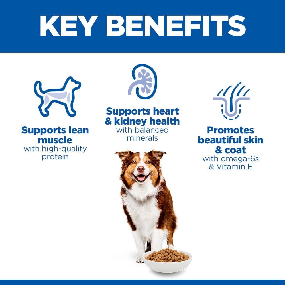 Canine Mature Adult 7+ Medium Breed Chicken