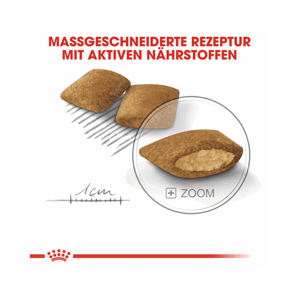 Mini Exigent