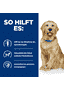 Canine j/d Mobility - Dose