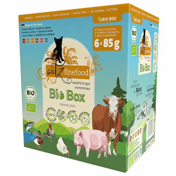 Organic Multipack I