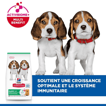 Puppy Medium Breed Chicken