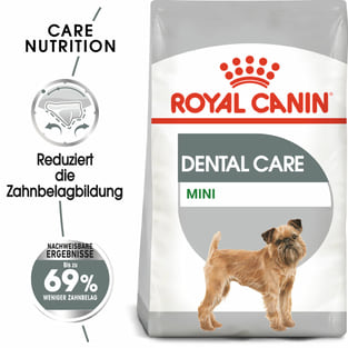 Dental Care Mini