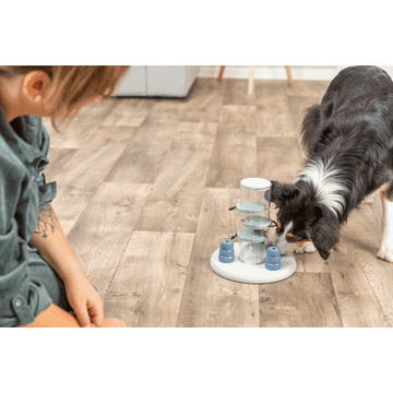 Dog Activity Gambling Tower