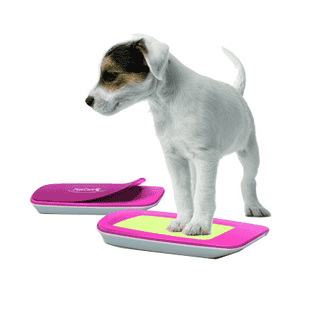 PawCare für saubere Pfoten
