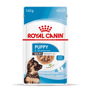 Maxi Puppy - sachets