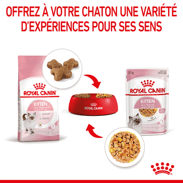 Kitten en gelée - sachet