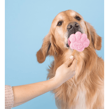 Crème glacée pour chiens