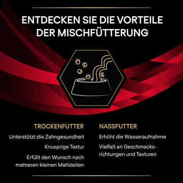 FELINE DM St/Ox Diabetes Management - Frischebeutel