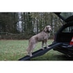Rampe pliable pour chiens