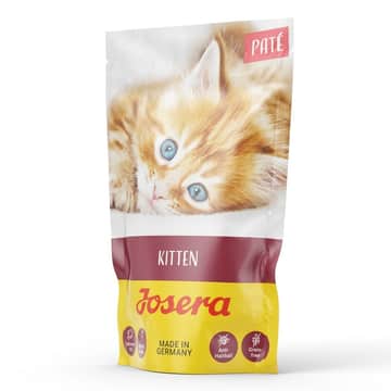 Paté Kitten