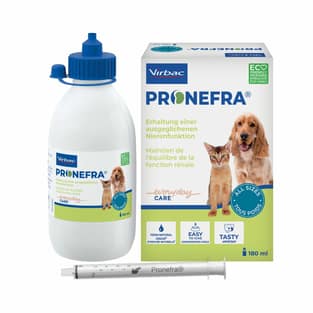 Pronefra