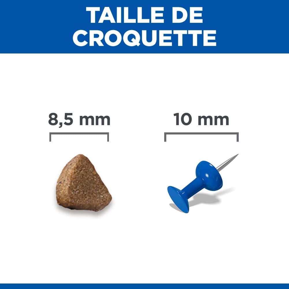 Kitten Tuna (nouveau: Salmon!)
