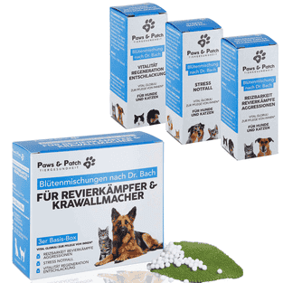 Blütenmischung 3er Set für Revierkämpfer und Krawallmacher