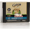 Senior Cat 7+