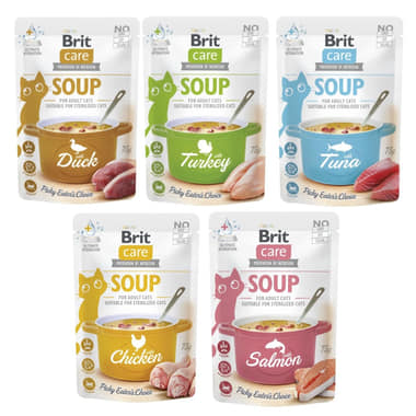 Care Cat Soup