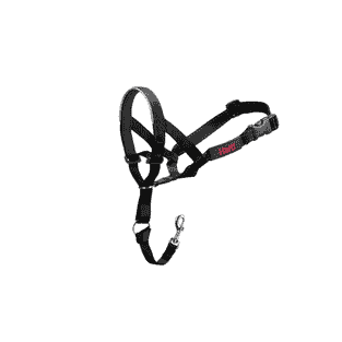 Headcollar, black