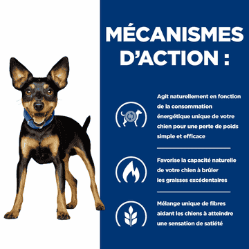 Canine Metabolic Mini Weight loss & Maintenance