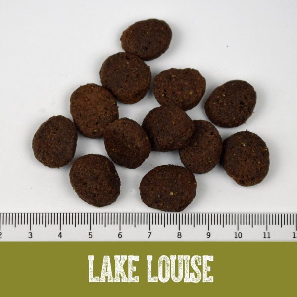 Lake Louise Adult Mono Duck