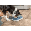 Dog Activity Poker Box 1