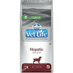 Canine Hepatic