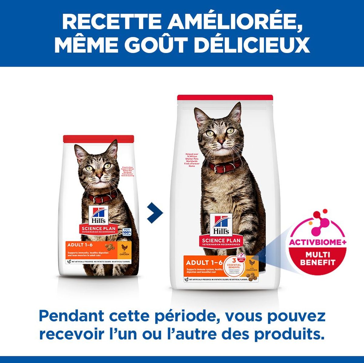 Feline Adult Chicken