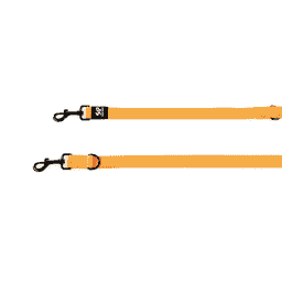 TrendLine ONE Leine, orange